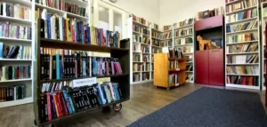 Read more about the article test aktivnost